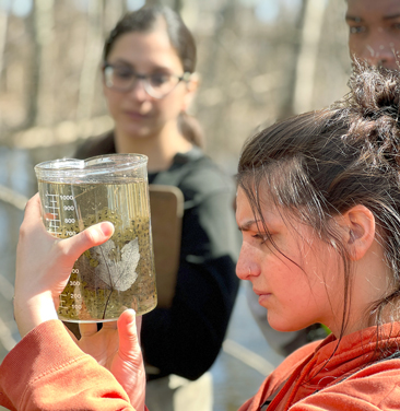 young woman looking closely at jar of amphibian eggs outdoors