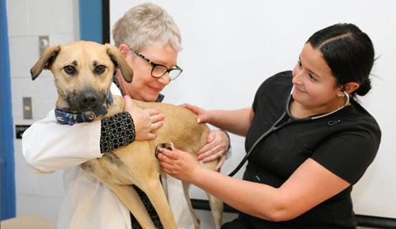 Donna Meier with dog and student