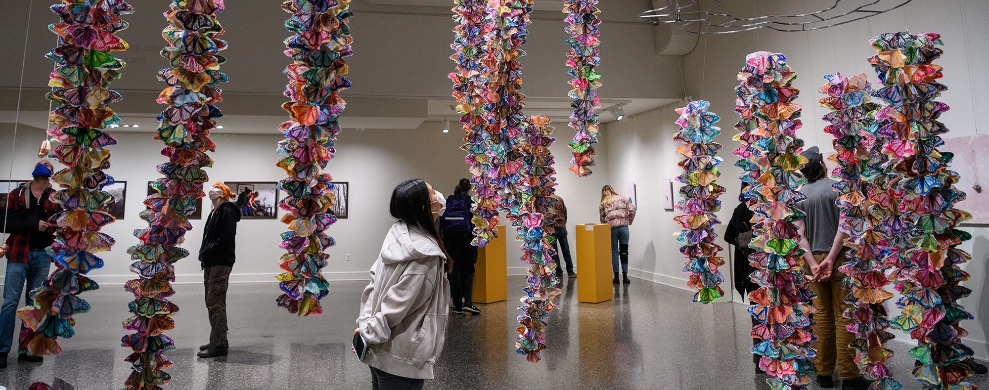 butterflies on paper hanging in gallery