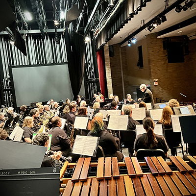 musicians in orchestra