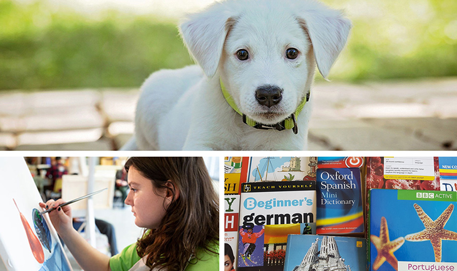 collage of puppy, person painting, and language books